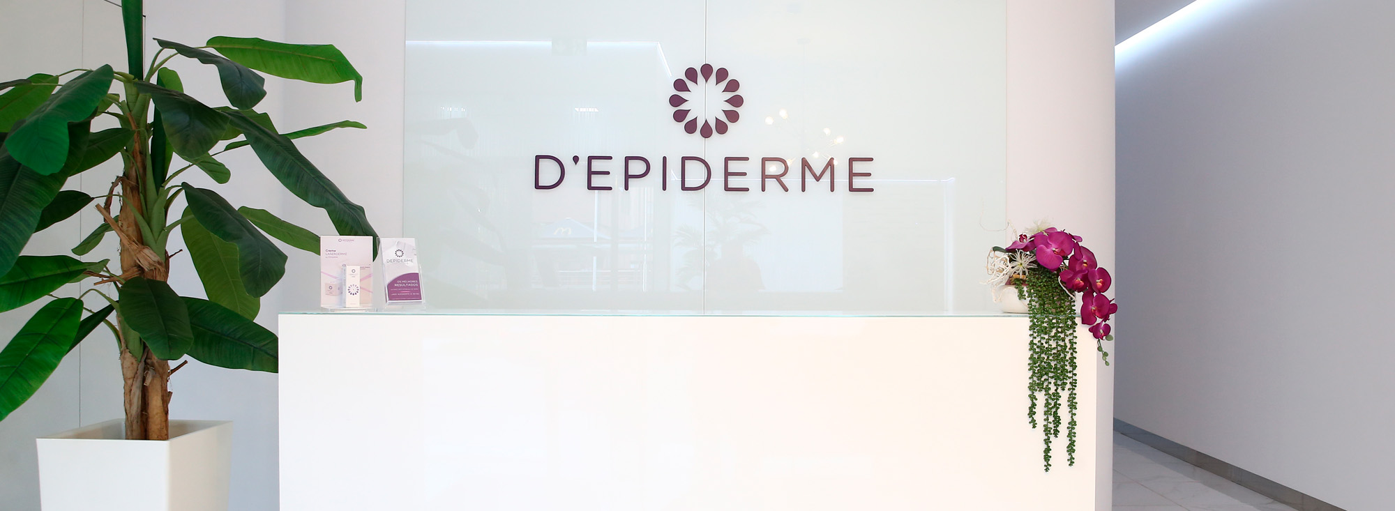 depiderme-contactos-porto-4-vf